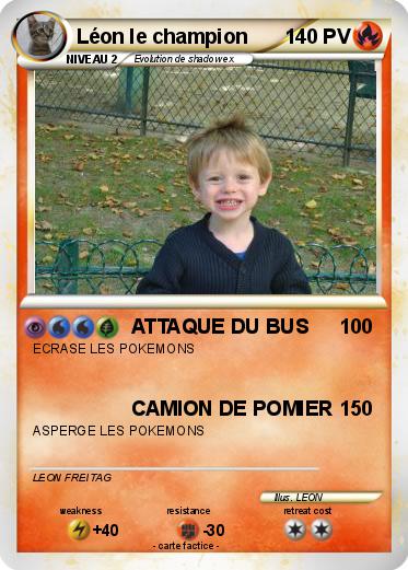 Pokemon Léon le champion