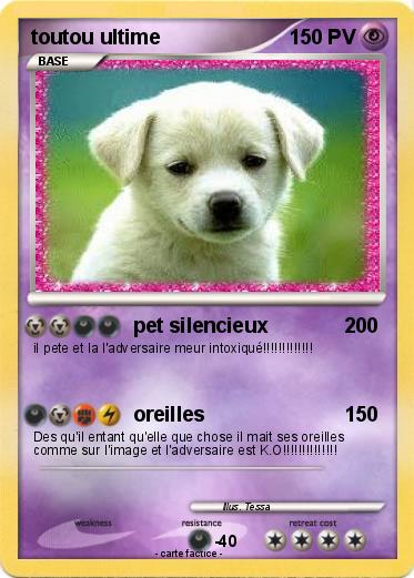 Pokemon toutou ultime