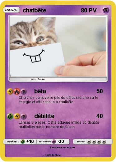 Pokemon chatbête