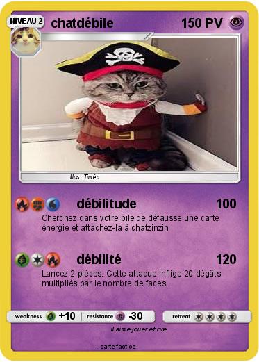 Pokemon chatdébile