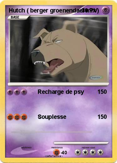 Pokemon Hutch ( berger groenendael mix )