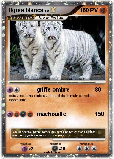 Pokemon tigres blancs