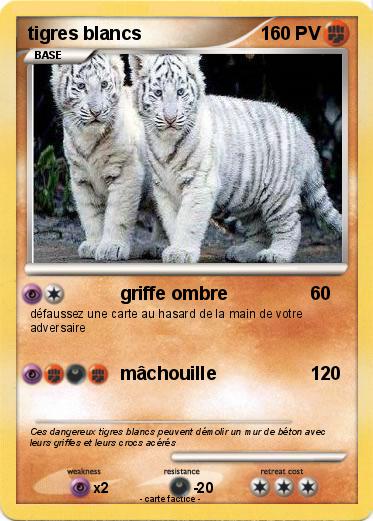 Pokemon tigres blancs