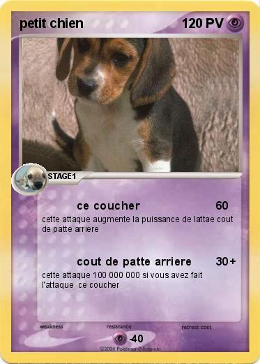 Pokemon petit chien
