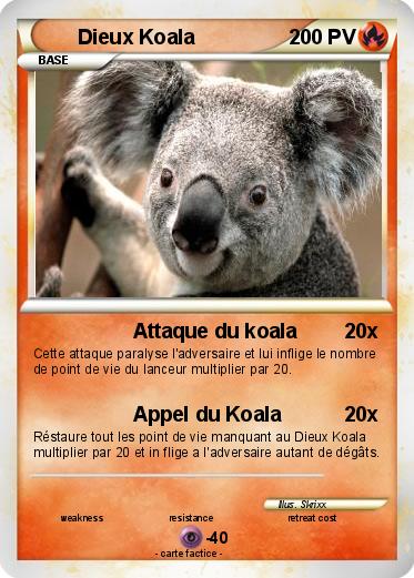 Pokemon Dieux Koala