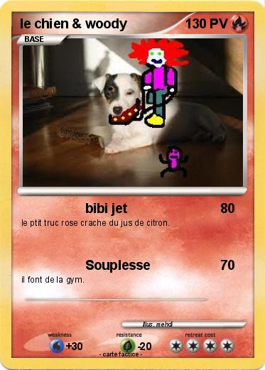 Pokemon le chien & woody