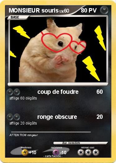 Pokemon MONSIEUR souris