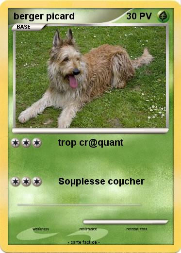 Pokemon berger picard