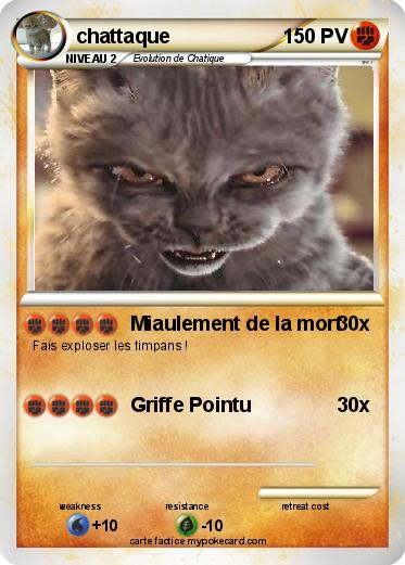 Pokemon chattaque
