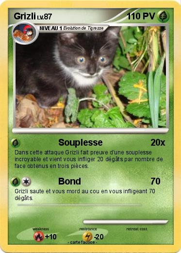 Pokemon Grizli
