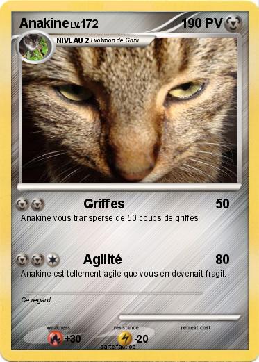 Pokemon Anakine