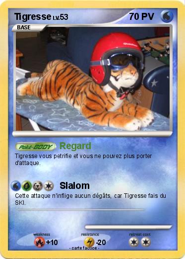Pokemon Tigresse