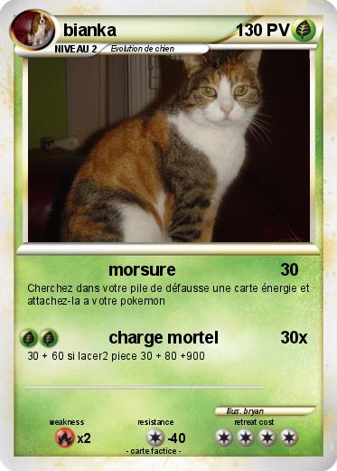 Pokemon bianka