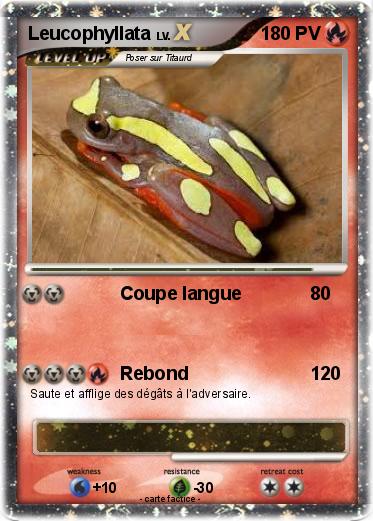 Pokemon Leucophyllata