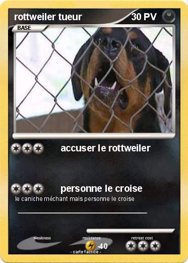 Pokemon rottweiler tueur