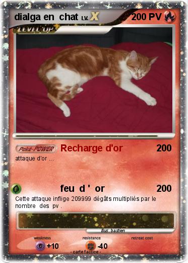 Pokemon dialga en  chat