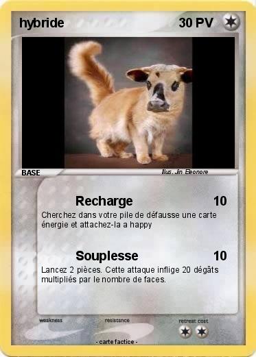 Pokemon hybride