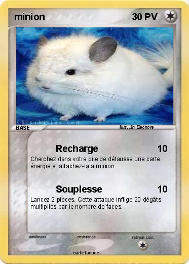 Pokemon minion