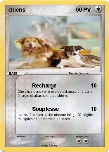Pokemon chiens