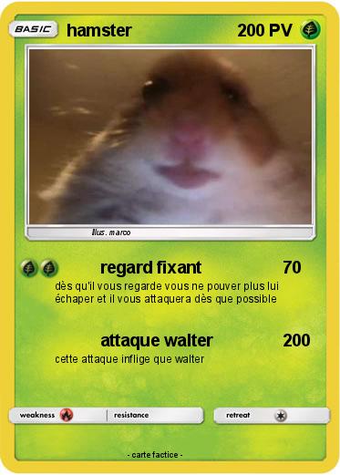 Pokemon hamster