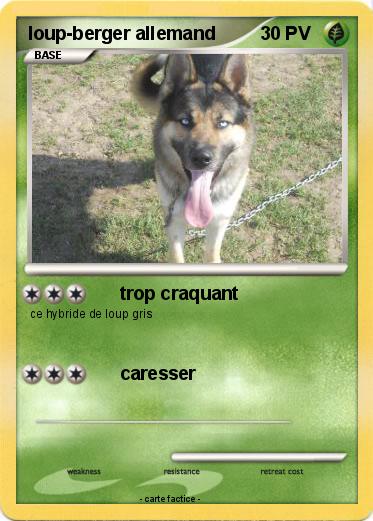 Pokemon loup-berger allemand