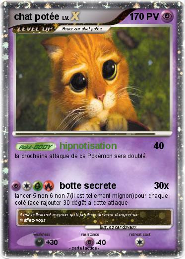 Pokemon chat potée