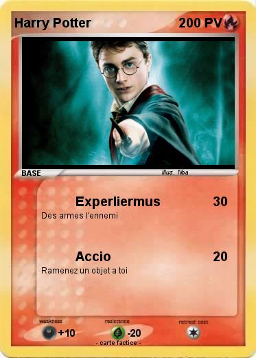 Pokemon Harry Potter