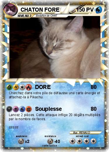 Pokemon CHATON FORE
