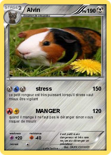 Pokemon Alvin