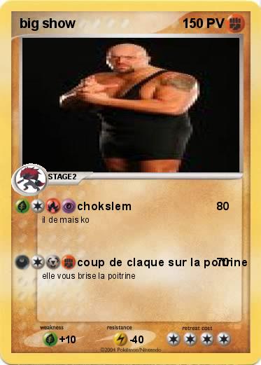 Pokemon big show