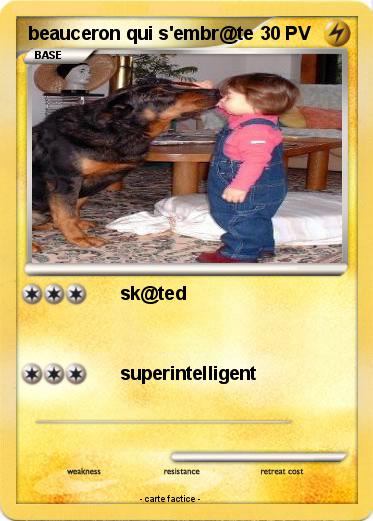 Pokemon beauceron qui s'embr@te