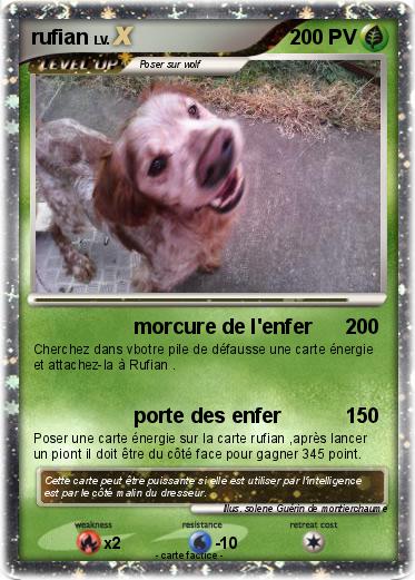 Pokemon rufian
