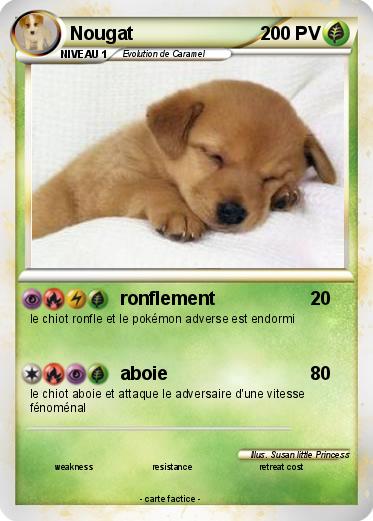 Pokemon Nougat