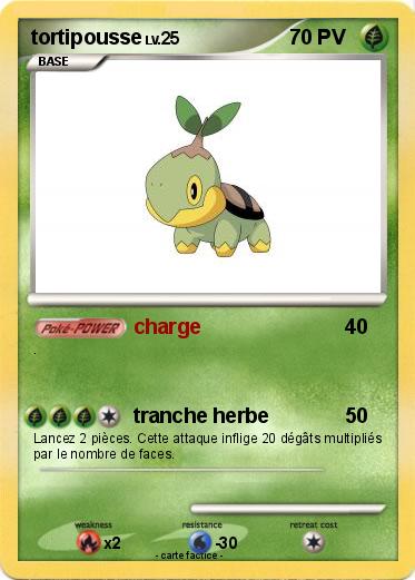 Pokemon tortipousse