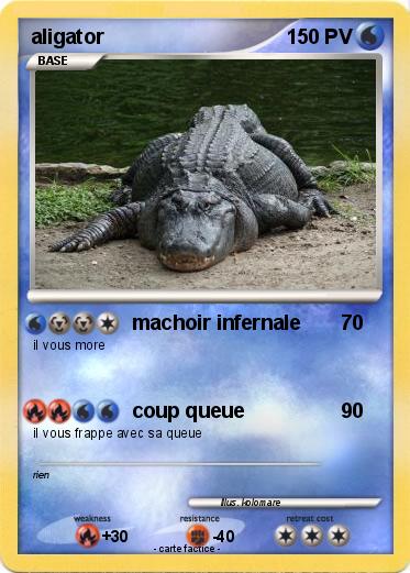 Pokemon aligator