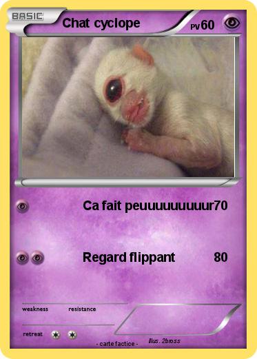 Pokemon Chat cyclope
