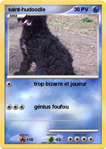 Pokemon saint-hudoodle