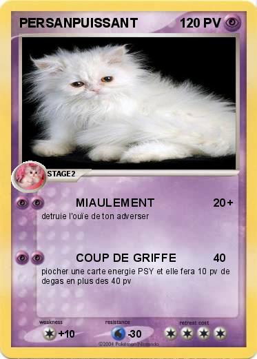 Pokemon PERSANPUISSANT 