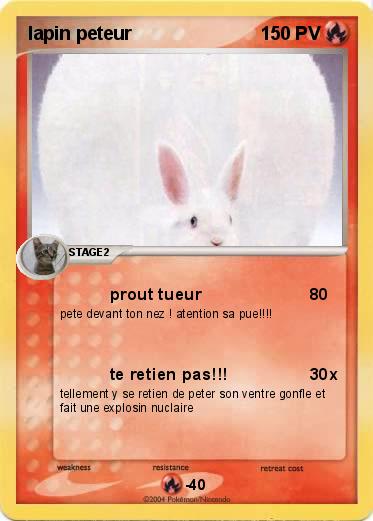 Pokemon lapin peteur