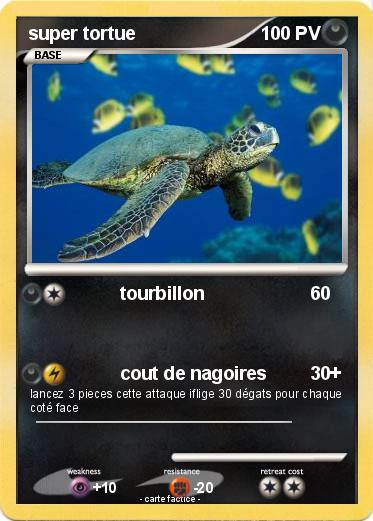 Pokemon super tortue