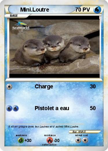 Pokemon Mini.Loutre