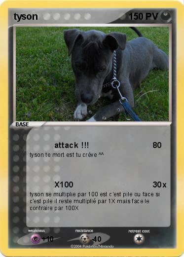 Pokemon tyson