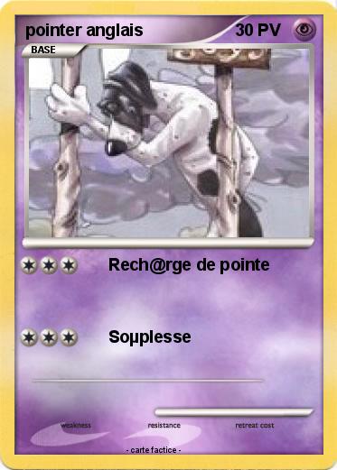 Pokemon pointer anglais