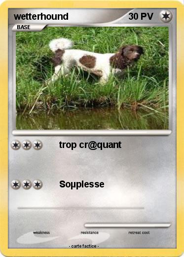 Pokemon wetterhound