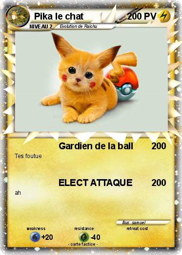 Pokemon Pika le chat