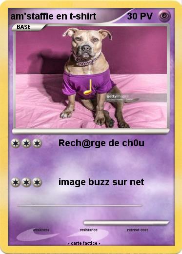 Pokemon am'staffie en t-shirt