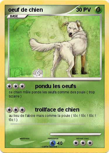 Pokemon oeuf de chien