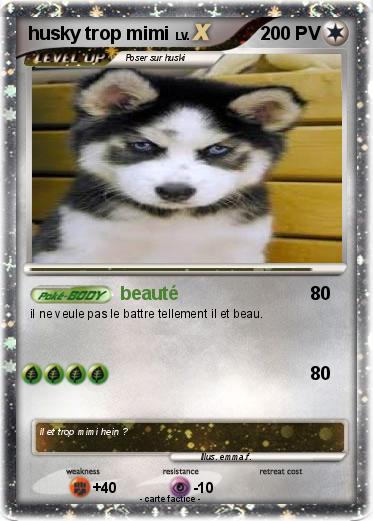 Pokemon husky trop mimi