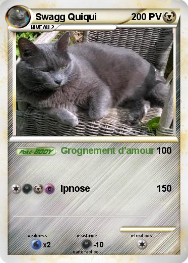 Pokemon Swagg Quiqui