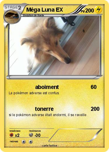 Pokemon Méga Luna EX